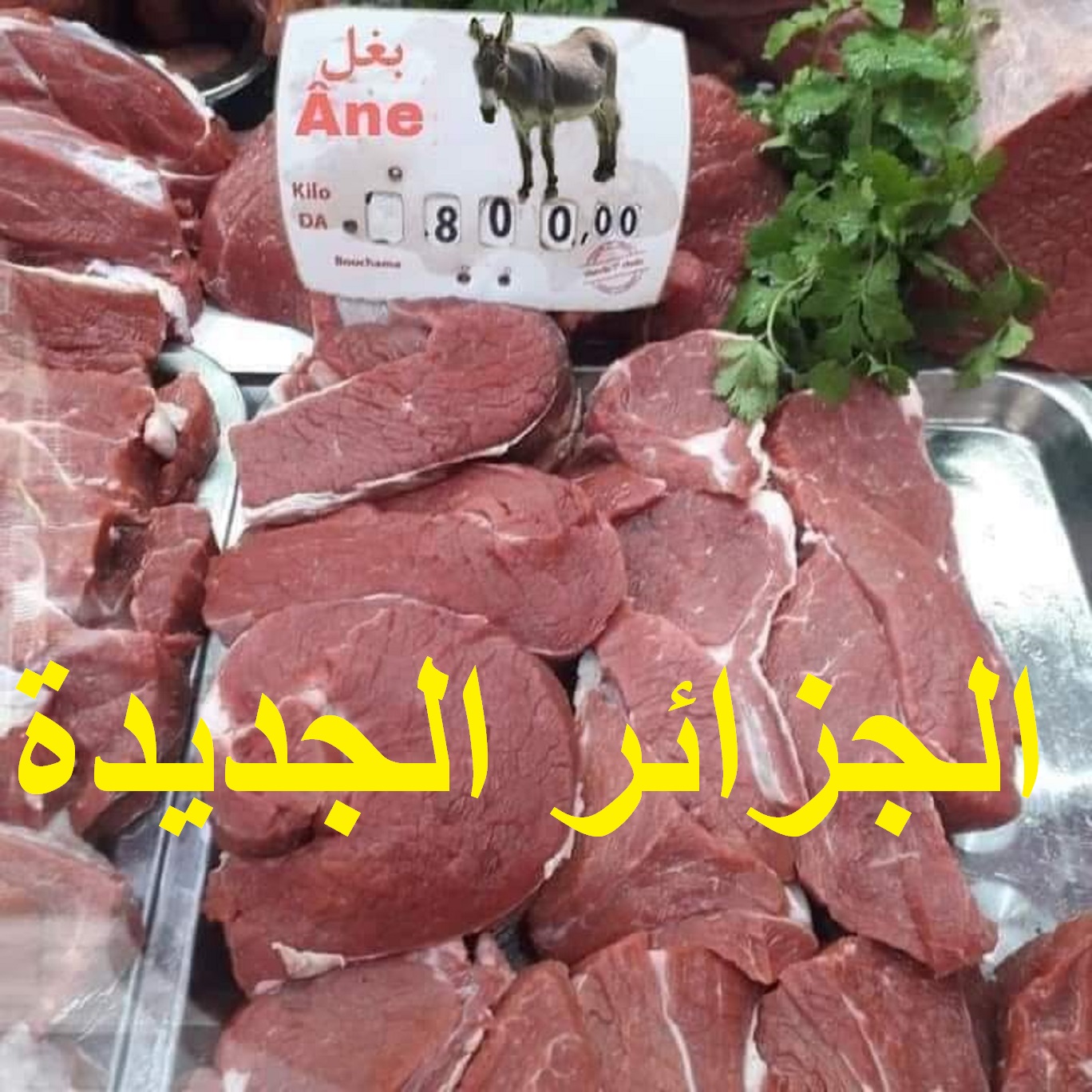 لحوم الحمير من النوع الرفيع تعود لتزين موائد إفطار المواطنين بالجزائر